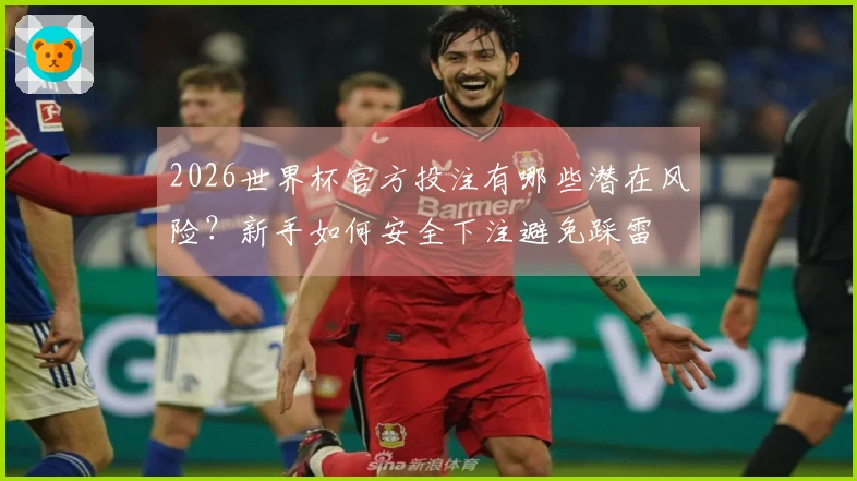2026世界杯官方投注有哪些潜在风险？新手如何安全下注避免踩雷