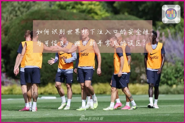 如何识别世界杯下注入口的安全性与可信度，避开新手常见的误区？